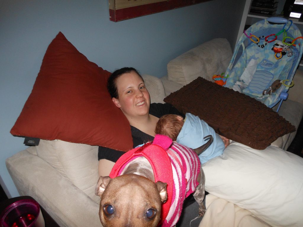 The Best Advice I Received as a New Mom. Learn the advice I received as a new Mom that helped me survive my first year. There is so much parenting advice it can be overwhelming. Learn the Mom Advice I got to ease my concerns. #newborn #parenting #momlife #baby Mom holding a newborn baby asleep on her lap. Dog photo bombing the picture up close to the camera, sitting on the Mom's lap.