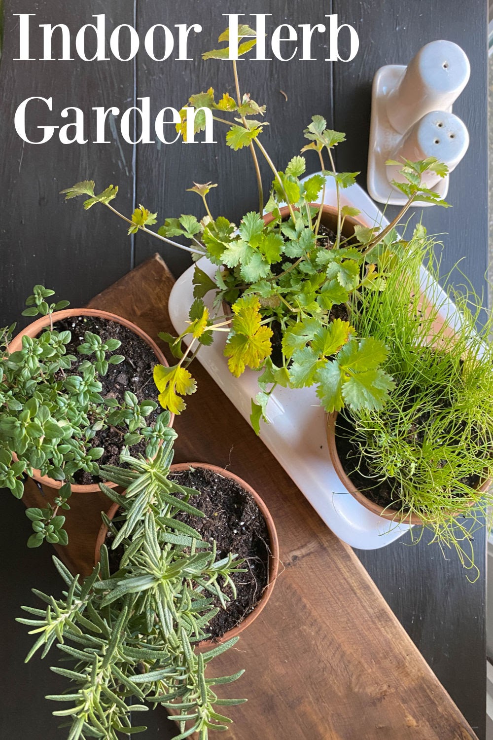 Indoor Herb Garden in the top left corner overlayed over an overhead shot of herbs in potted plants.