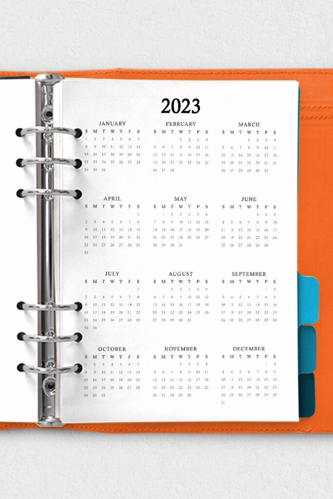 This image shows one of the 3 free 2022 calendars at a glance available to download at the end of this blog post. This shows the Mom Envy colors (simple) design.