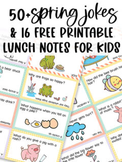 This image shows some of the lunch notes with spring jokes for kids available to download at the end of this post. At the top of image it says 50+ spring jokes and 16 free printable lunch notes for kids with the images of the notes below that.