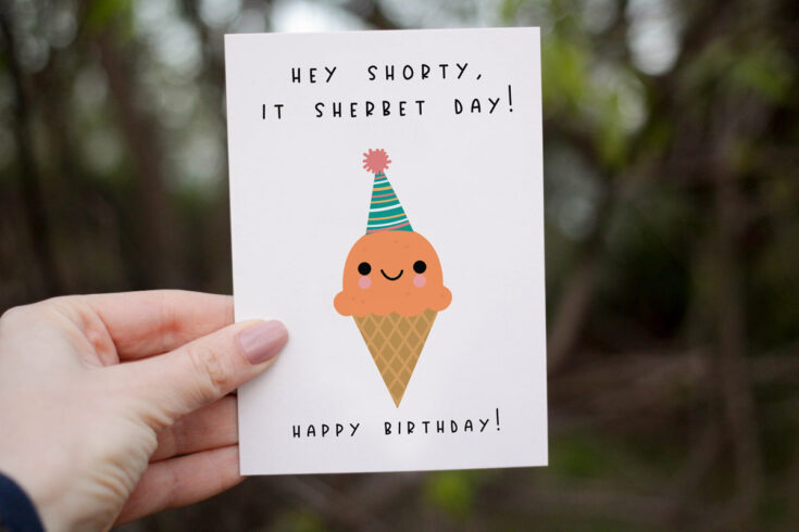 Funny Homemade Birthday Cards - 9 Free Printable Funny Birthday Cards