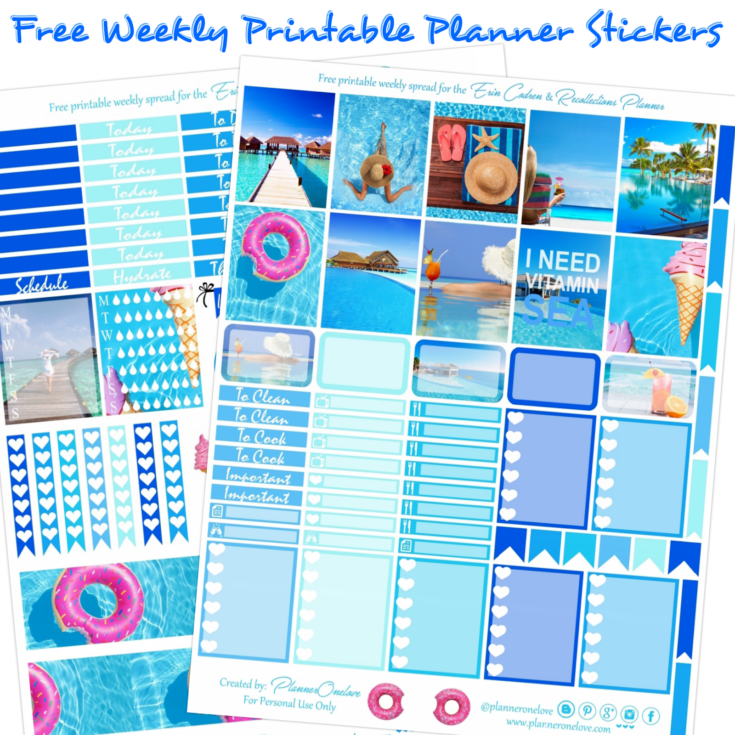 Image for Free Beachy/ Summer Printable Planner Stickers For The EC & Recollections Planner