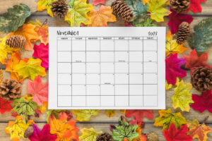 This image shows one of the months from the 2023 calendar pdf and png files you can get for free at the end of this blog post. This is showing a monthly calendar for November.