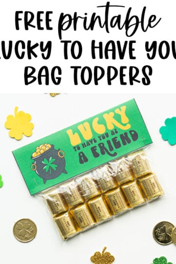 This image shows a completed free lucky to have you gift. It says on it, lucky to have you as a friend. It is attached to a bag filled with Hershey's Nuggets. It is surrounded by plastic gold coins and four leaf clover cut outs. At the top it says free printable lucky to have you bag toppers.