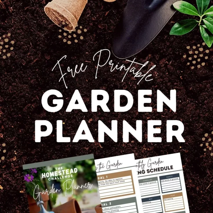 Image for Free Garden Planner Printable for Beginners