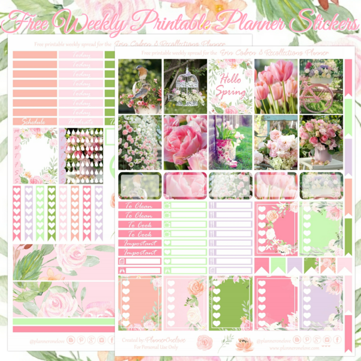 Image for Free Hello Spring Printable Planner Stickers For The Erin Condren & Recollections Planner