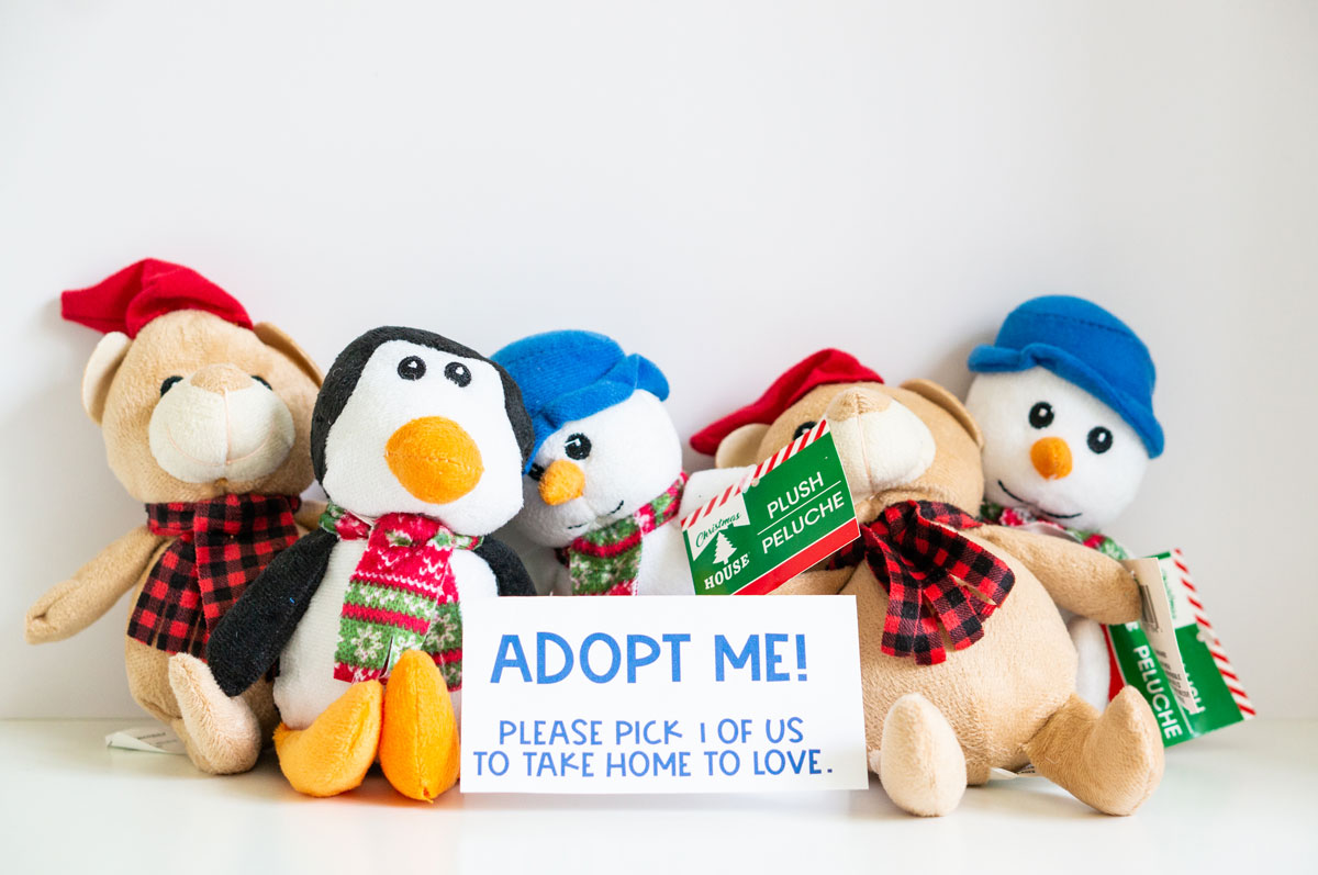 This image is showing one of the birthday party gift bag ideas which are some stuffed animals you can "adopt" instead of a goody bag. It says Adopt me! Please take 1 of us home to love.