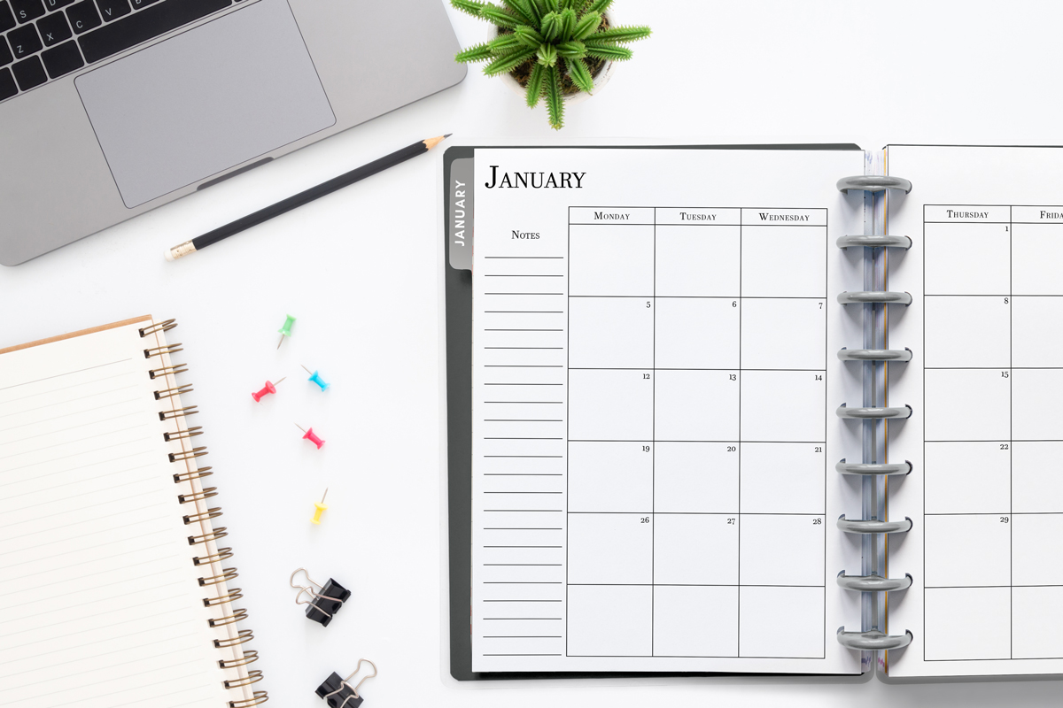 2 PAGE MONTHLY CALENDAR PRINTABLE FREE 2026 PDF DOWNLOAD visual data 8