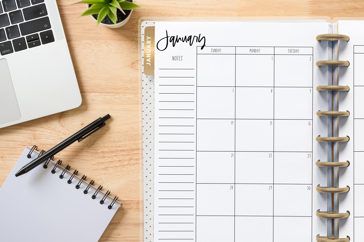 This image shows the free 2 page calendar template you can get at the end of this blog post. It's inside of an open planner to the month of January.