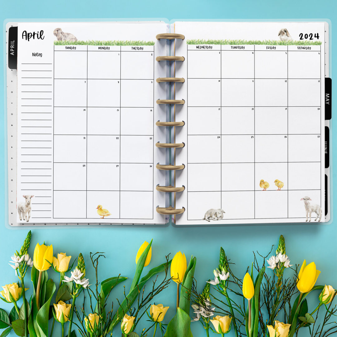 2024 Free Printable Monthly Calendar with Holidays