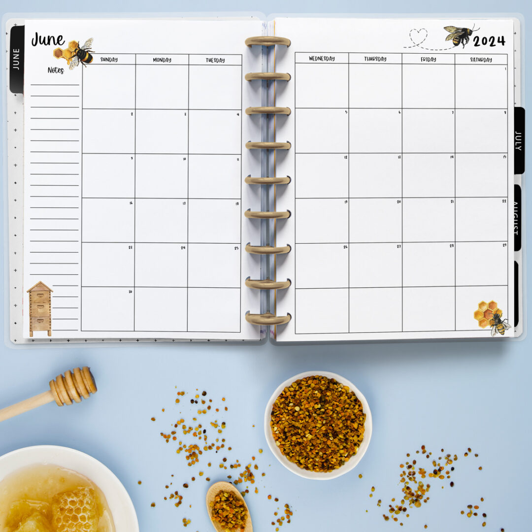 2024 Free Printable Monthly Calendar with Holidays