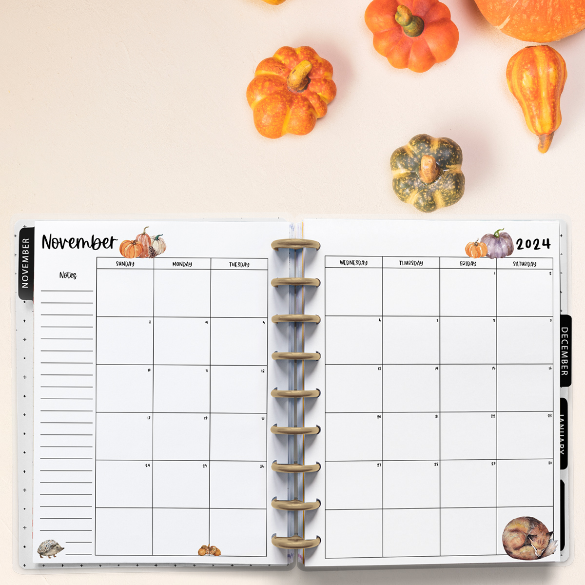 This image is an example of one of the printable 2024 calendar you can get for free at the end of this post. This is showing the month of November. Above the planner are some pumpkins.