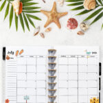 Open planner showing the July 2026 monthly calendar with beach and summer-themed decorations. The calendar includes flip-flops, a seagull, a beach sign, and a sandcastle illustration. The surrounding background has seashells, a starfish, palm leaves, and smooth stones on white sand.