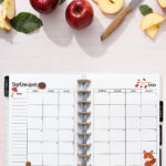 Open planner showing the September 2026 monthly calendar with fall harvest decorations. The calendar includes illustrations of a hedgehog, acorn, autumn leaves, and a fox. Surrounding the planner are fresh apples, apple slices, and a knife on a light wooden background.