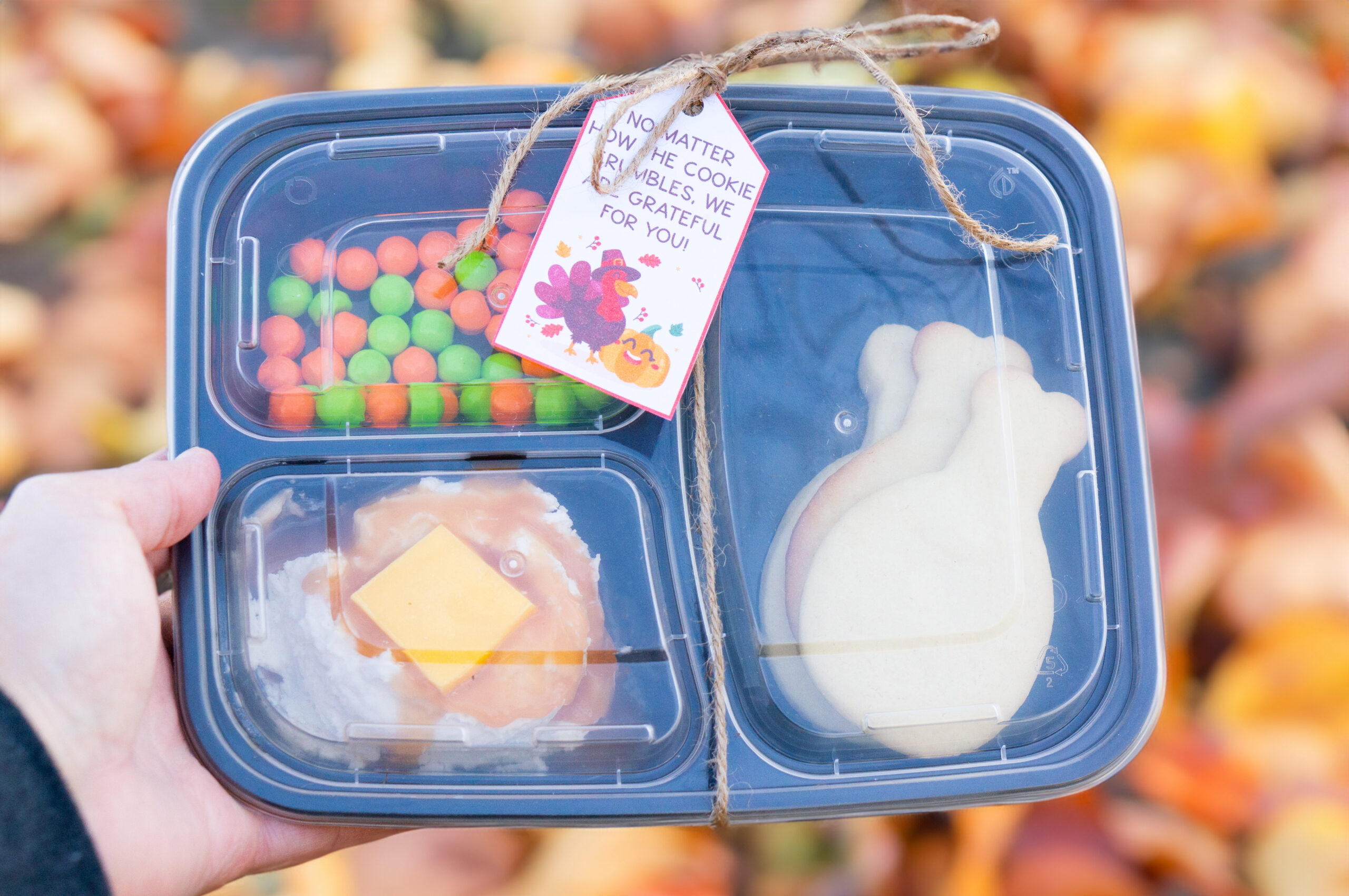 This is an example of a complete Thanksgiving turkey dinner cookie set.