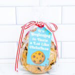 This is one of the free Christmas treat gift tags you can download in this post. It says, It’s Beginning to Taste a Lot Like Christmas. It features a chocolate chip cookie and a few chocolate chip cookie crumbs. The tag is attached to a small bag of chocolate chip cookies.