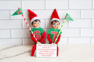Two Elf on the Shelf dolls wearing green shirts with the numbers 6 and 7, each holding a &ldquo;67&rdquo; pennant flag. They sit in front of a humorous sign that reads, &ldquo;Okay&hellip; I keep hearing you whisper 6&hellip;7. I don&rsquo;t know what it means&hellip;but I&rsquo;m 90% sure I&rsquo;m supposed to be scared. Should I hide??&rdquo;